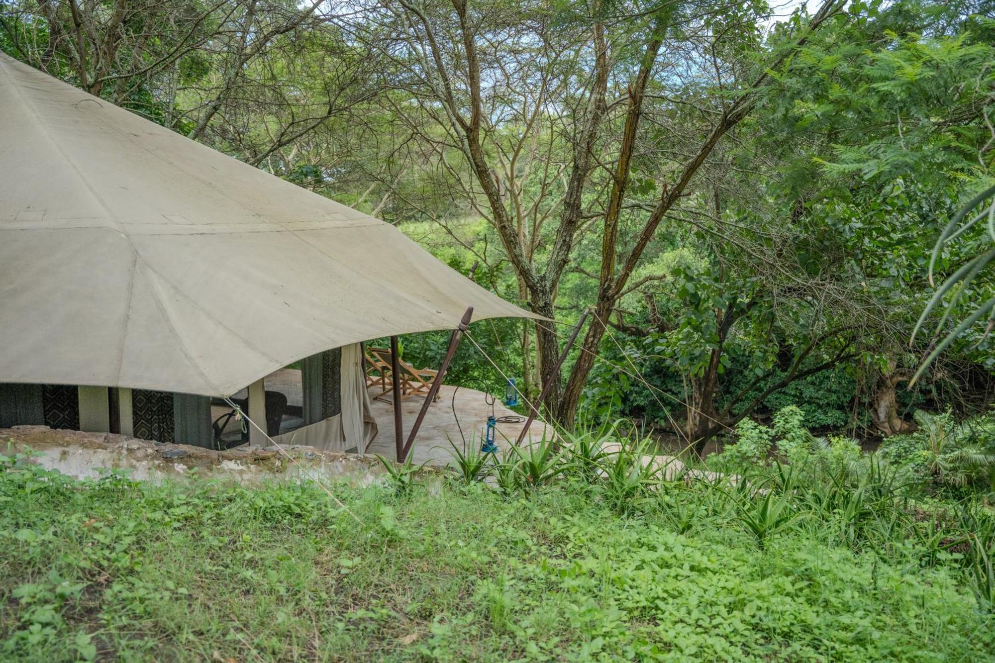 Dolly Farm & River Camp, Luxury Tents Usa River Bagian luar foto