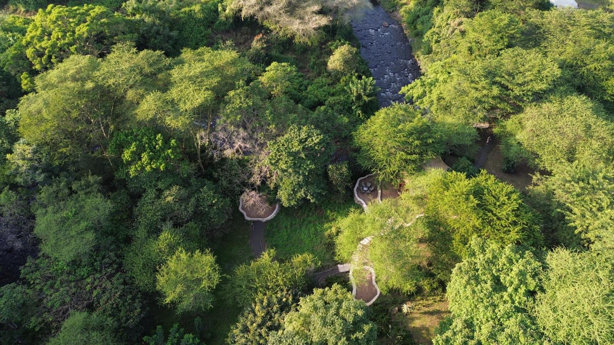 Dolly Farm & River Camp, Luxury Tents Usa River Bagian luar foto